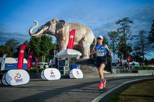 BIB: 
                            <button type="button" onclick="openModal(26541629)" class="btn btn-primary btn-sm float-right btn-popup" data-toggle="modal" data-target=".modal-high-quality">
                        <i class="fas fa-shopping-cart"></i> Add to Cart
                    </button>
                                            <button type="button" onclick="isThisMe(26541629, true)" class="btn btn-success btn-sm float-right btn-popup btn-isme hidden" data-toggle="tooltip" data-placement="bottom" title="นี่คือรูปของคุณใช่ไหม คลิกที่นี่เพื่อเอาเข้าอัลบั้ม">
                        <i class="fas fa-plus"></i> Add to album
                    </button>
                    <button type="button" onclick="isThisMe(26541629, false)" class="btn btn-warning btn-sm float-right btn-popup btn-isnotme hidden">
                        <i class="fas fa-ban"></i> Remove from album
                    </button>